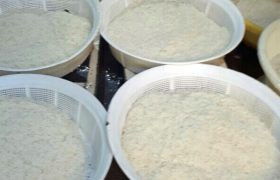 یکشنبه های علوی ۵ مرداد ۹۹