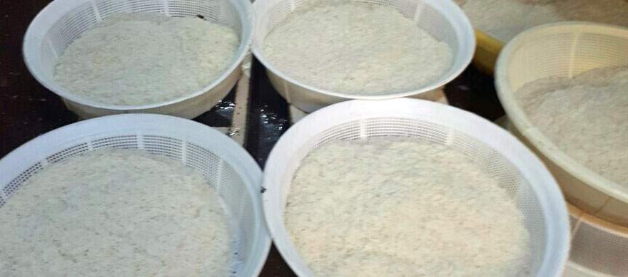 یکشنبه های علوی ۵ مرداد ۹۹