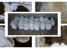 یکشنبه های علوی ۹ شهریور ۹۹