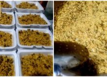 سه شنبه های مهدوی ۲۵ دی ۱۴۰۳